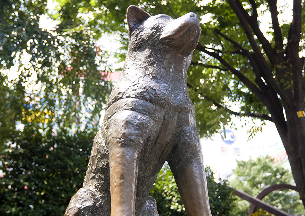 Shibuya hachiko