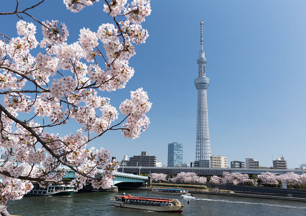 Tokyo Sky-tree